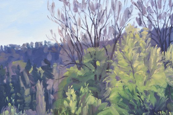 The Wild Loire In Spring