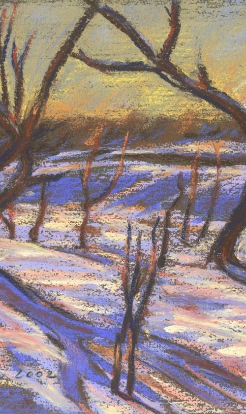 Orchard in Winter by Richard Mierniczak