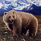 Brown Bear