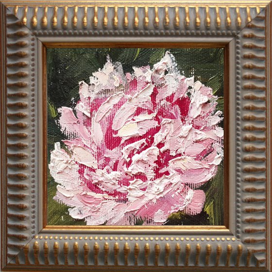 Peony 02...framed / FROM MY A SERIES OF MINI WORKS / ORIGINAL OIL PAINTING