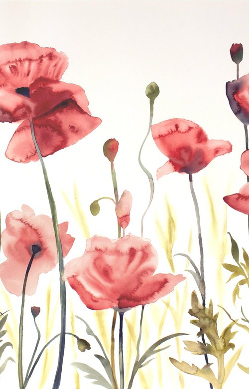 Poppies No. 4 by Elizabeth Becker