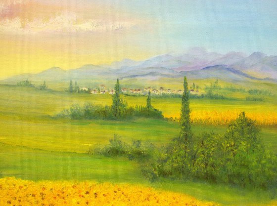 Sunrise on sunflowers