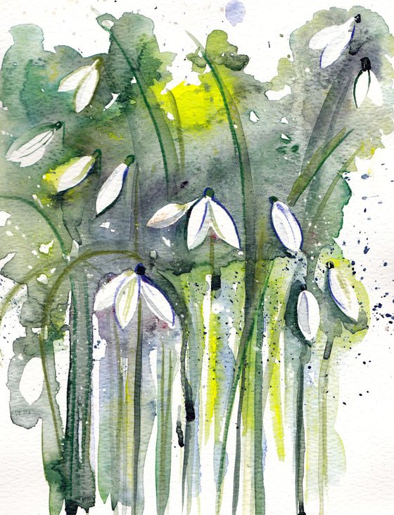 Snowdrops sketch