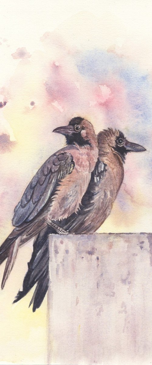 Two Crows by Shweta Mahajan