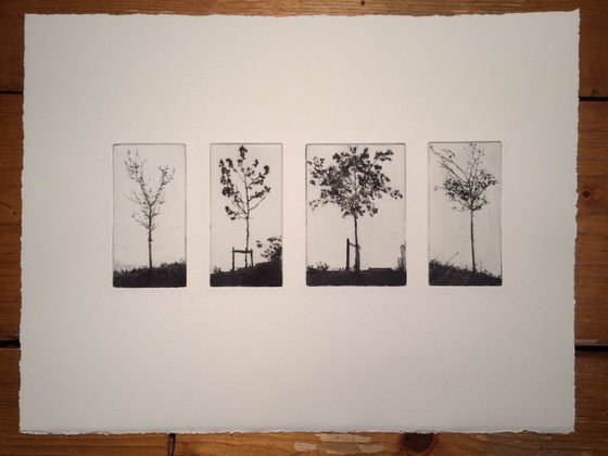 Group of four trees