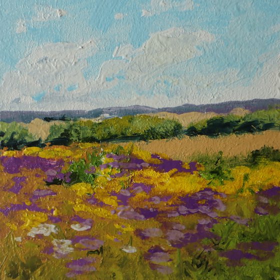 Set of 2 Summer Wildflower Meadows