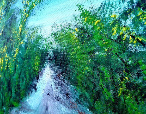 Forest Path 1