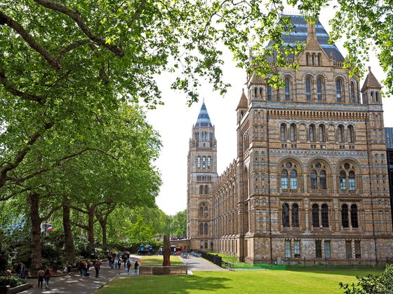 Natural History Museum