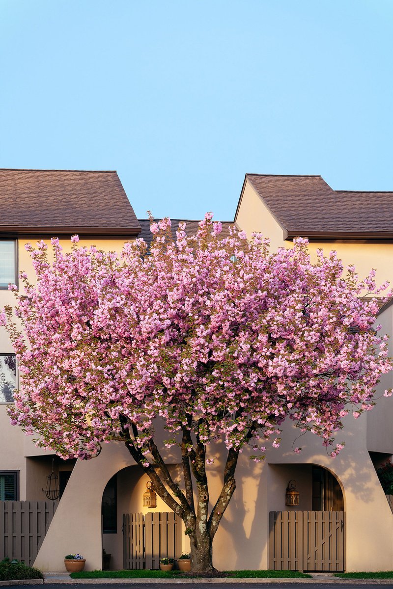 Impressionistic Cityscapes Photograph By Journey Gong, 29 X 43", All In The Golden Afternoon, Original Artwork