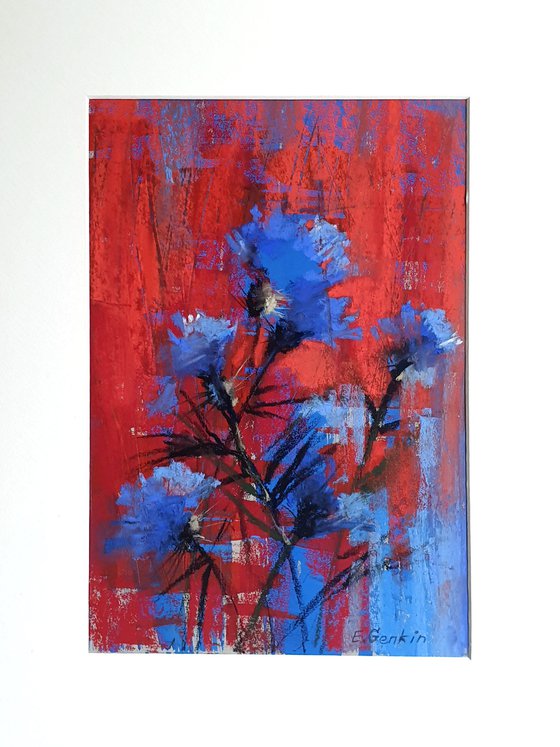 Carnation flowers in blue & red