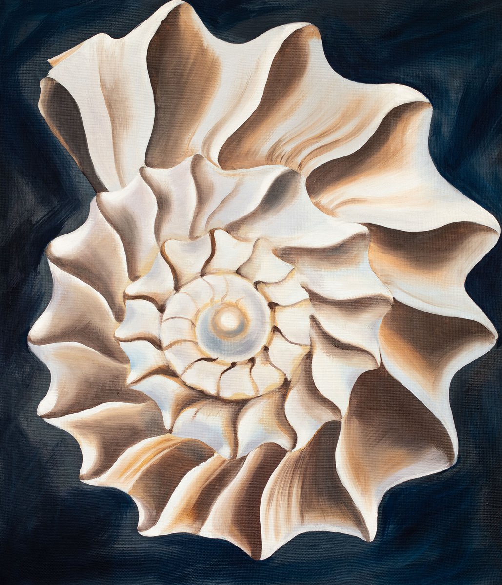 Ancient sea shell by Daria Shalik