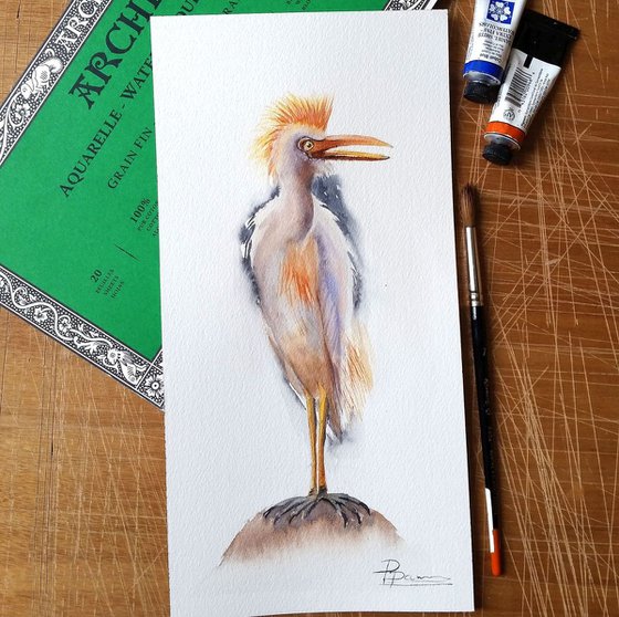 Cattle Egret ORIGINAL Watercolor Painting