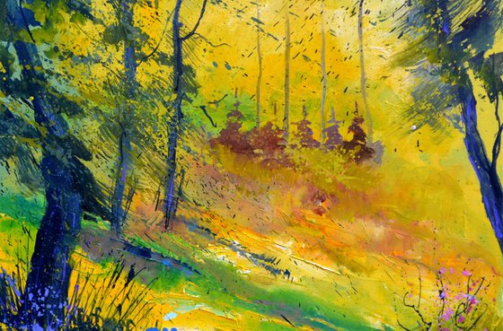 Light in the wood