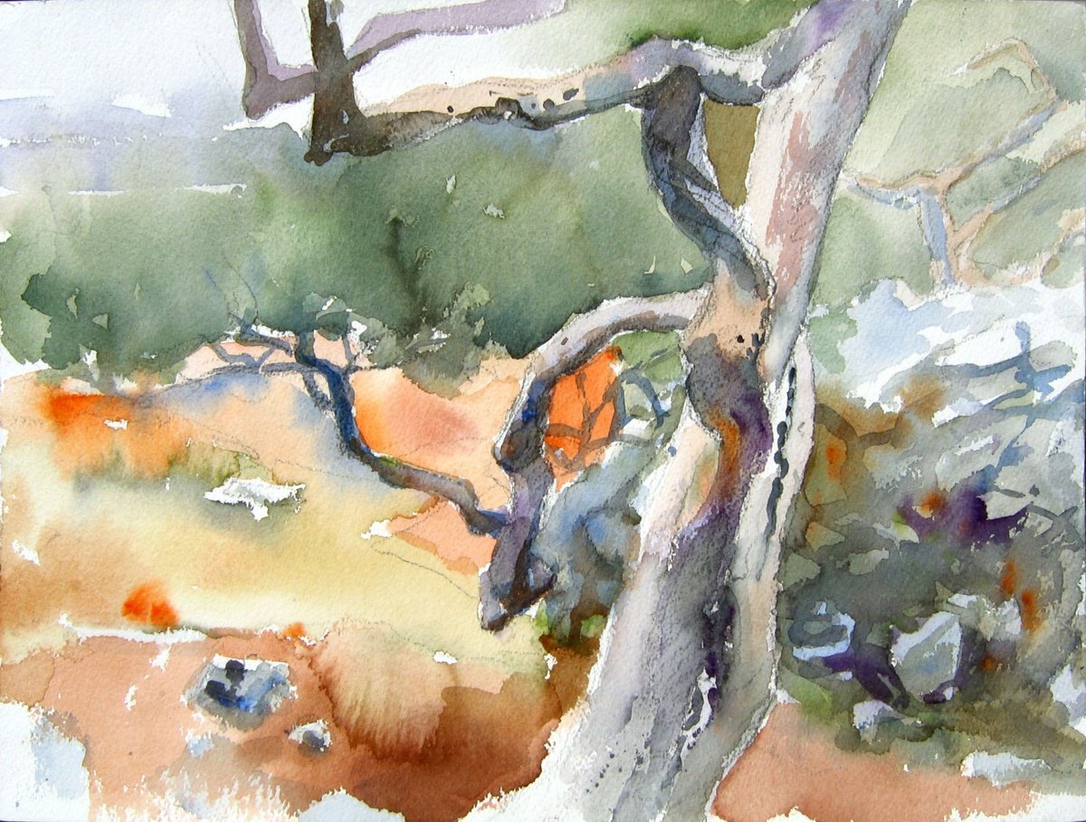 Botanical Watercolour By Goran Zigolic Watercolors, 13 X 9, In The Olive Grove Ii, Original Artwork