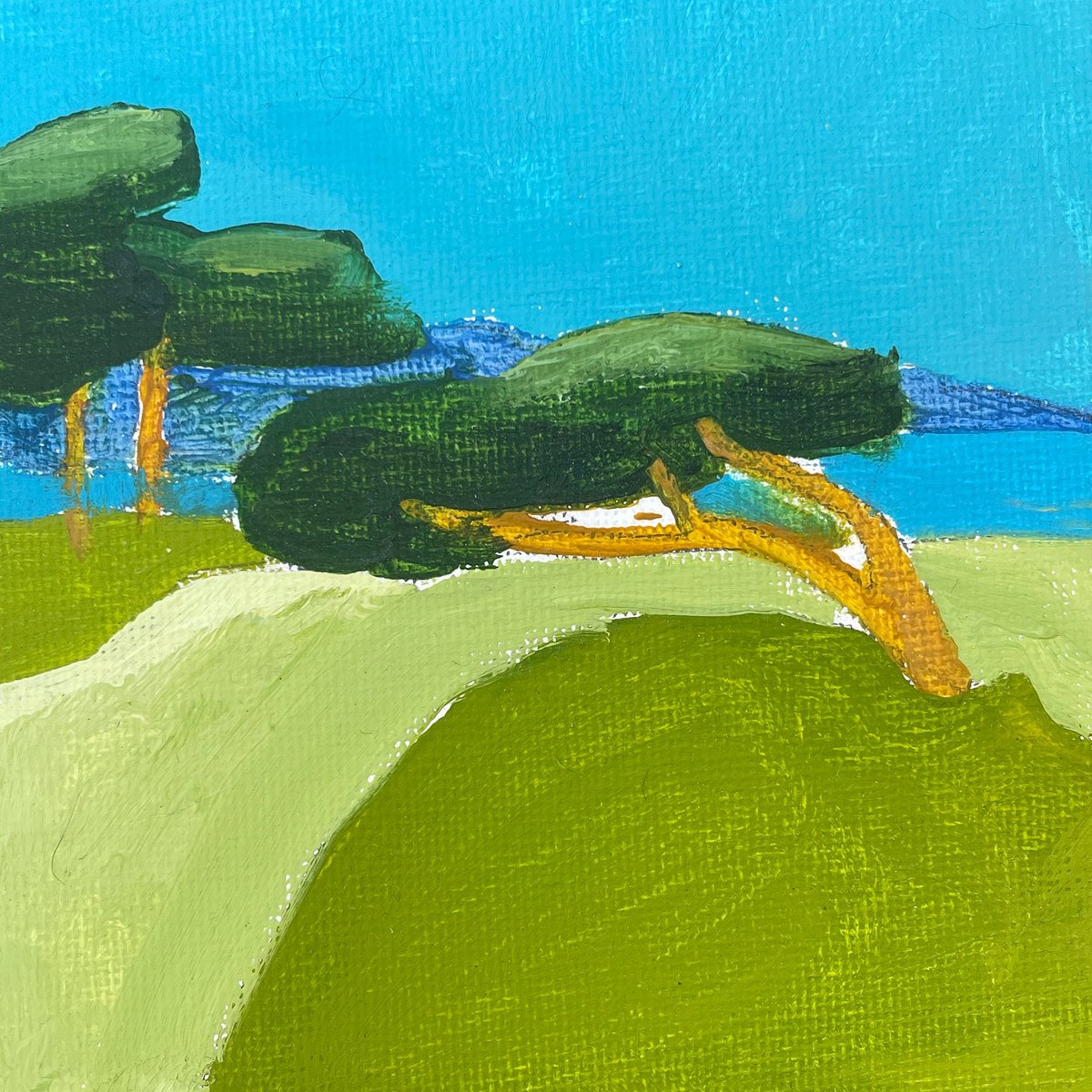 Pines on the Spanish coast - 10x10 cm by Victoria Dael