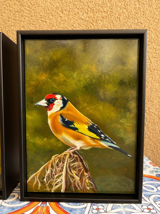 Oil Bird Triptych - Custom Commission