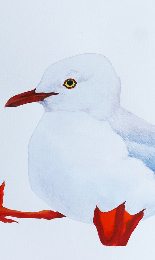 Kiddo gull by Karina Danylchuk