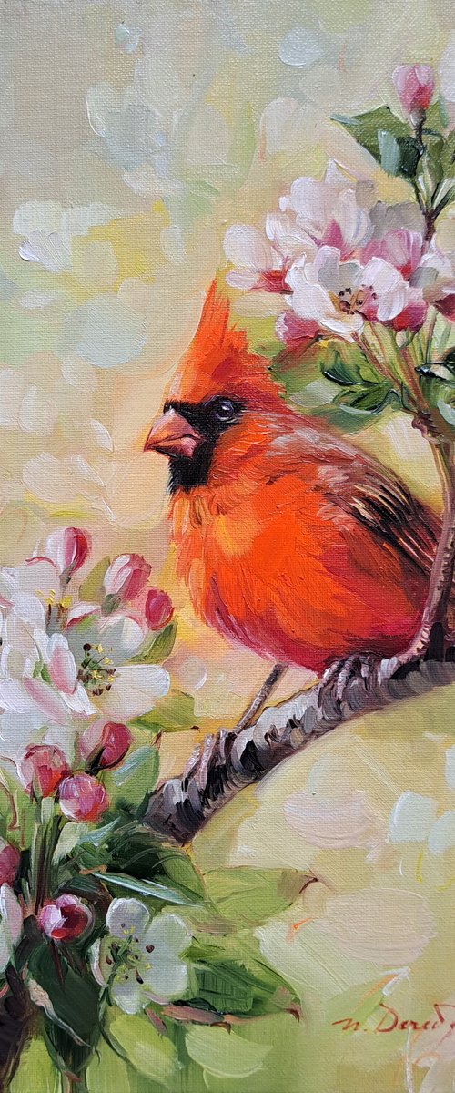 Cardinal bird by Nataly Derevyanko