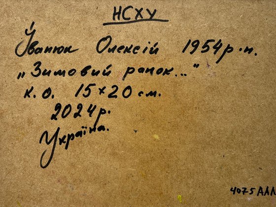 Winter morning in the field