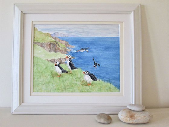 Puffins on the Coast