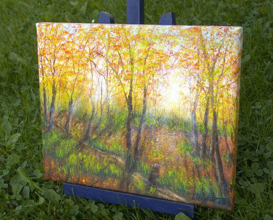 The autumnal forest