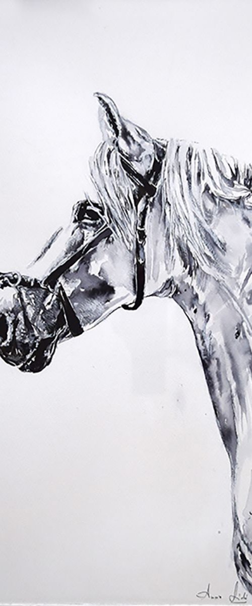 La tresse / Framed Horse Equine Art  Modern Contemporary by Anna Sidi-Yacoub