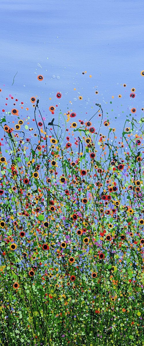 Wild Poppy Meadows by Lucy Moore