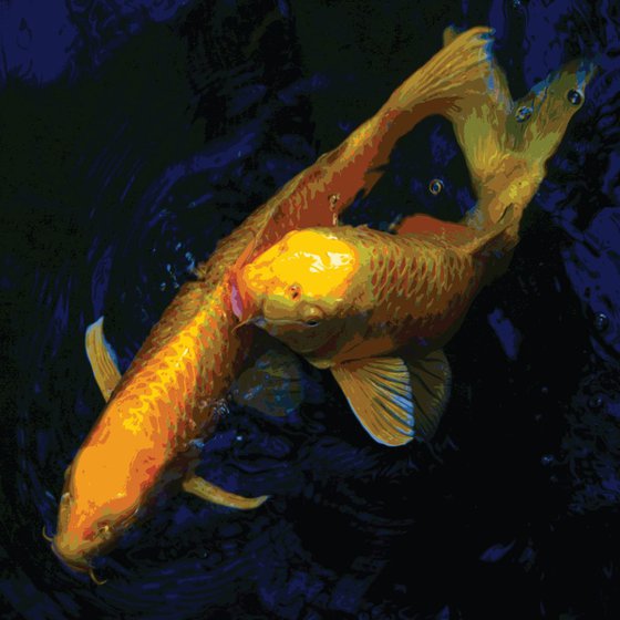 Koi Carp 2