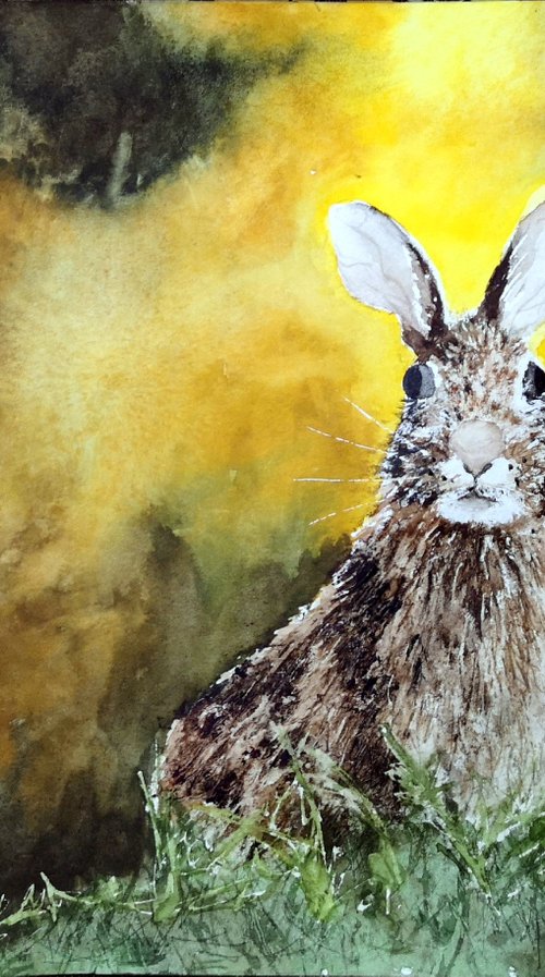 Hare by Aneta Gajos