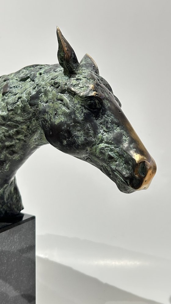 The Noble Hoof, no.V/VIII