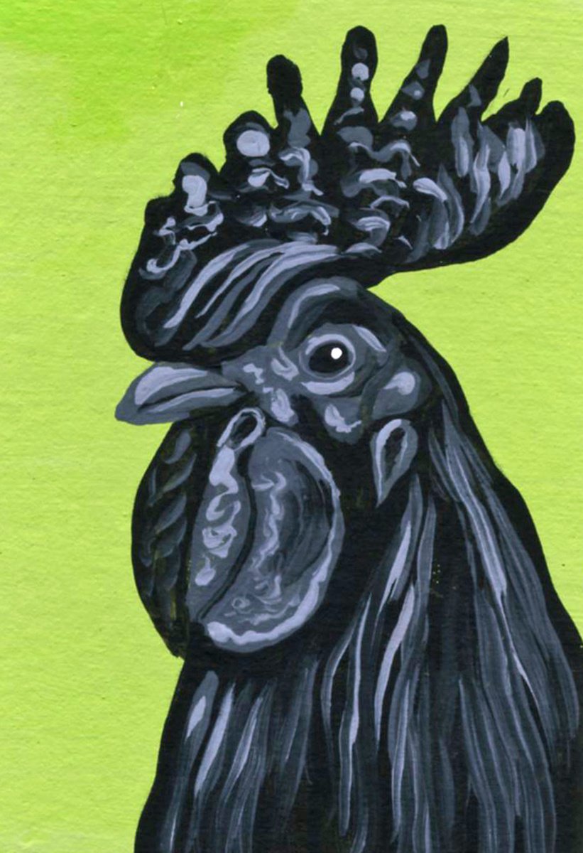 ACEO ATC Original Miniature Painting Fancy Black Chicken Bird Farmyard Art-Carla Smale by carla smale