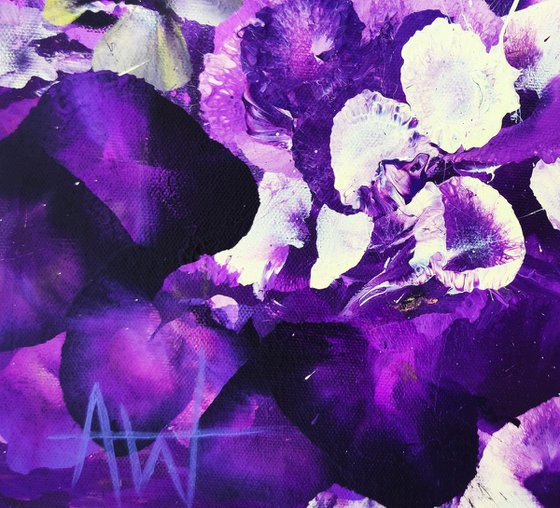 Violet Drift