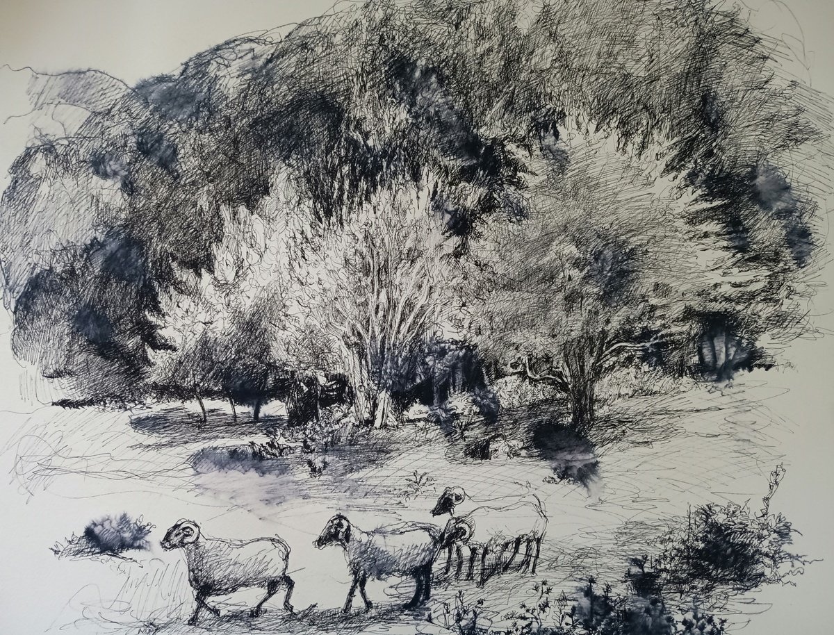 Expressive Landscape Ink Drawing By Marina Del Pozo, 20 X 16", Sheltering Forest, Original Artwork