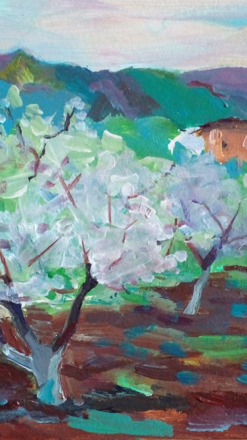 Blooming Trees in the mountains by Oxana Raduga