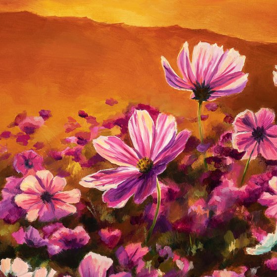 Pink cosmos field at sunset