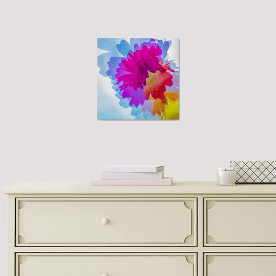 Psychedelic Flowers #5 Limited Edition 1/50 10x10 inch Photographic Print.