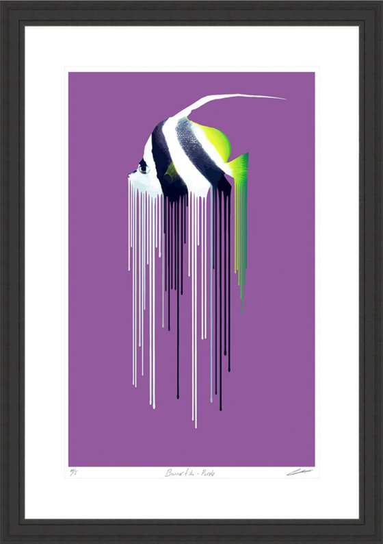 Bannerfish - Purple