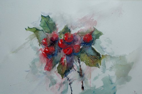 holly berries by Giorgio Gosti