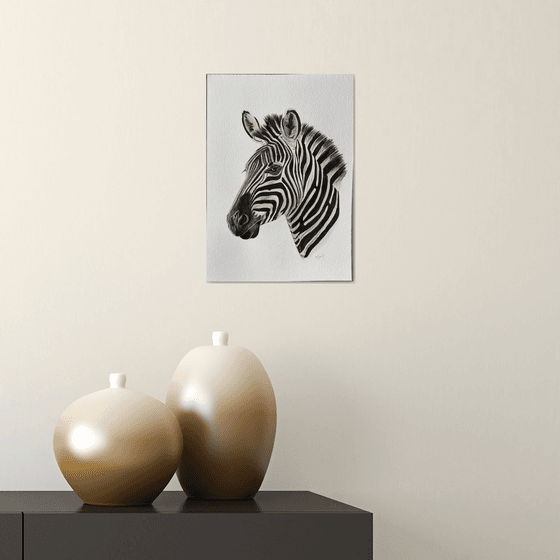 Zebra