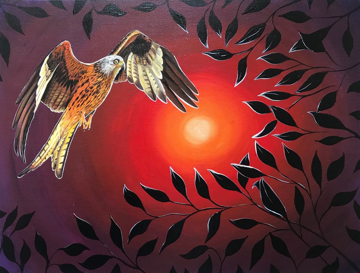 Red kite by Karen Elaine Evans