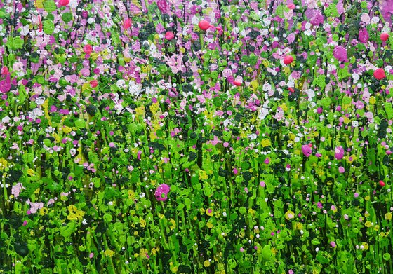 Wild Blush Meadows