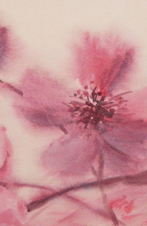 "Cherry blossoms" by Ivan  Grozdanovski