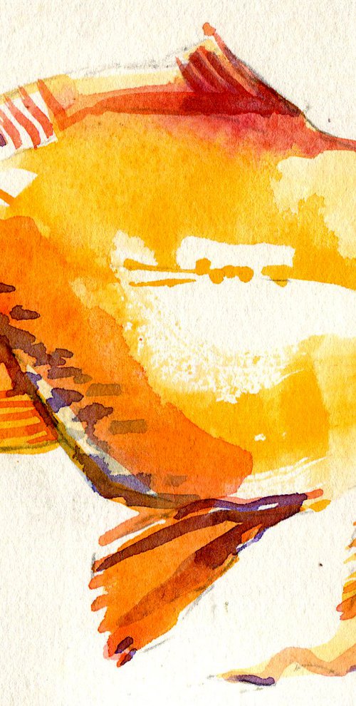 Small Orange and Yellow fish watercolor painting by Hannah Clark