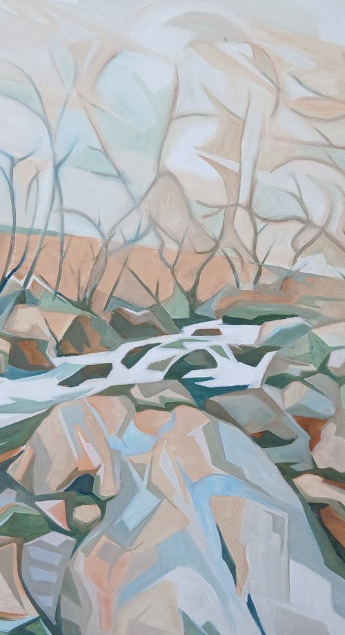 Dartmoor River by Andrew Clayton