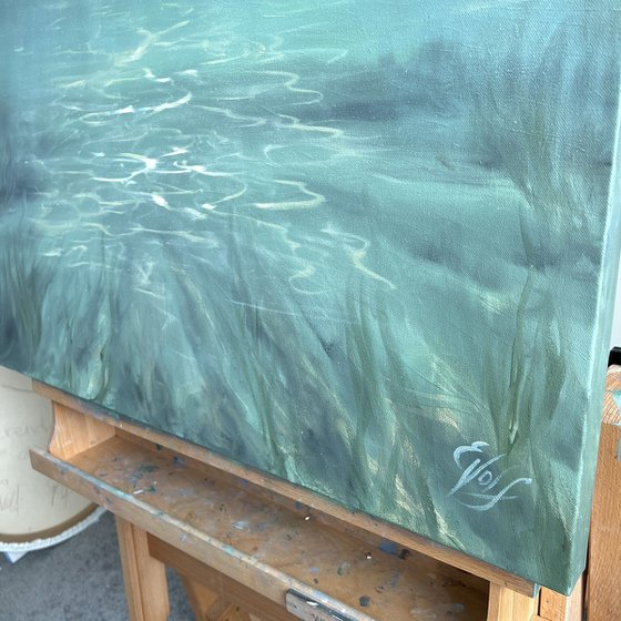 Where Pretty Fishes Live