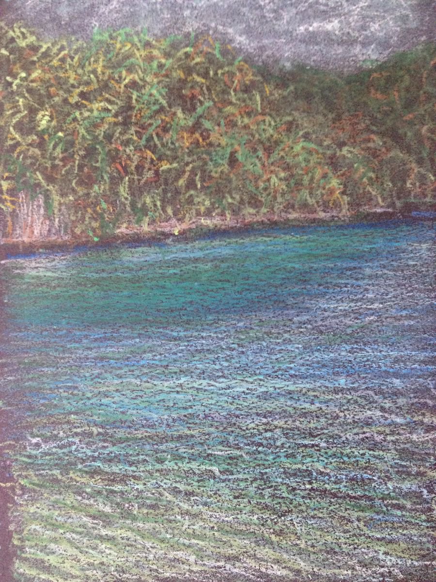 Tropical Colours, Palau by David Lloyd
