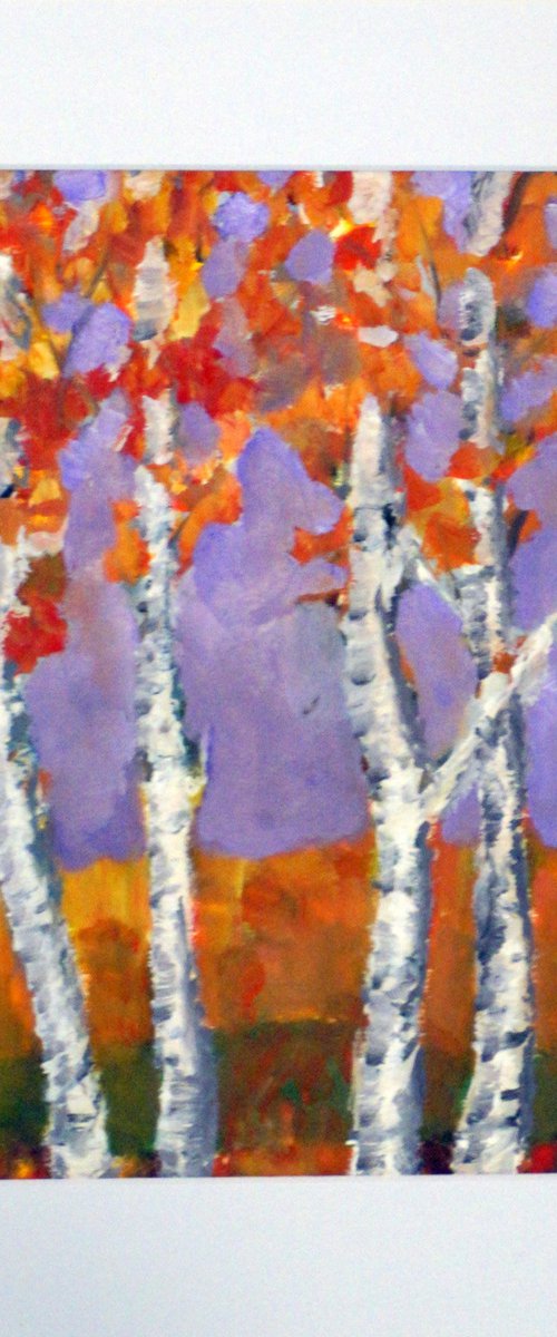 Birch Trees by katy hawk