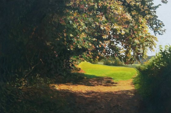 Passage throu the field