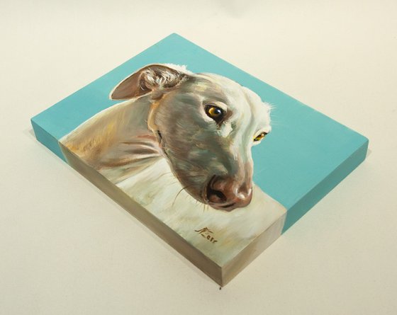 "Golden Gaze" - Greyhound Portrait