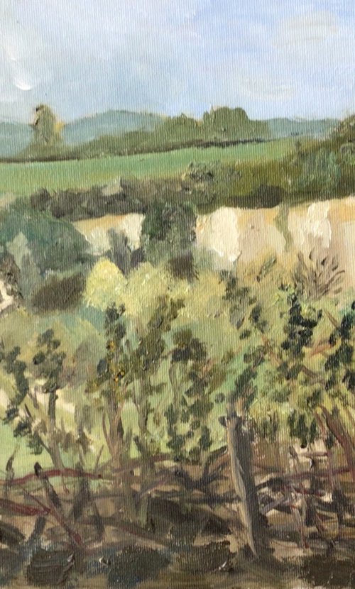 The old quarry oil painting by Julian Lovegrove Art